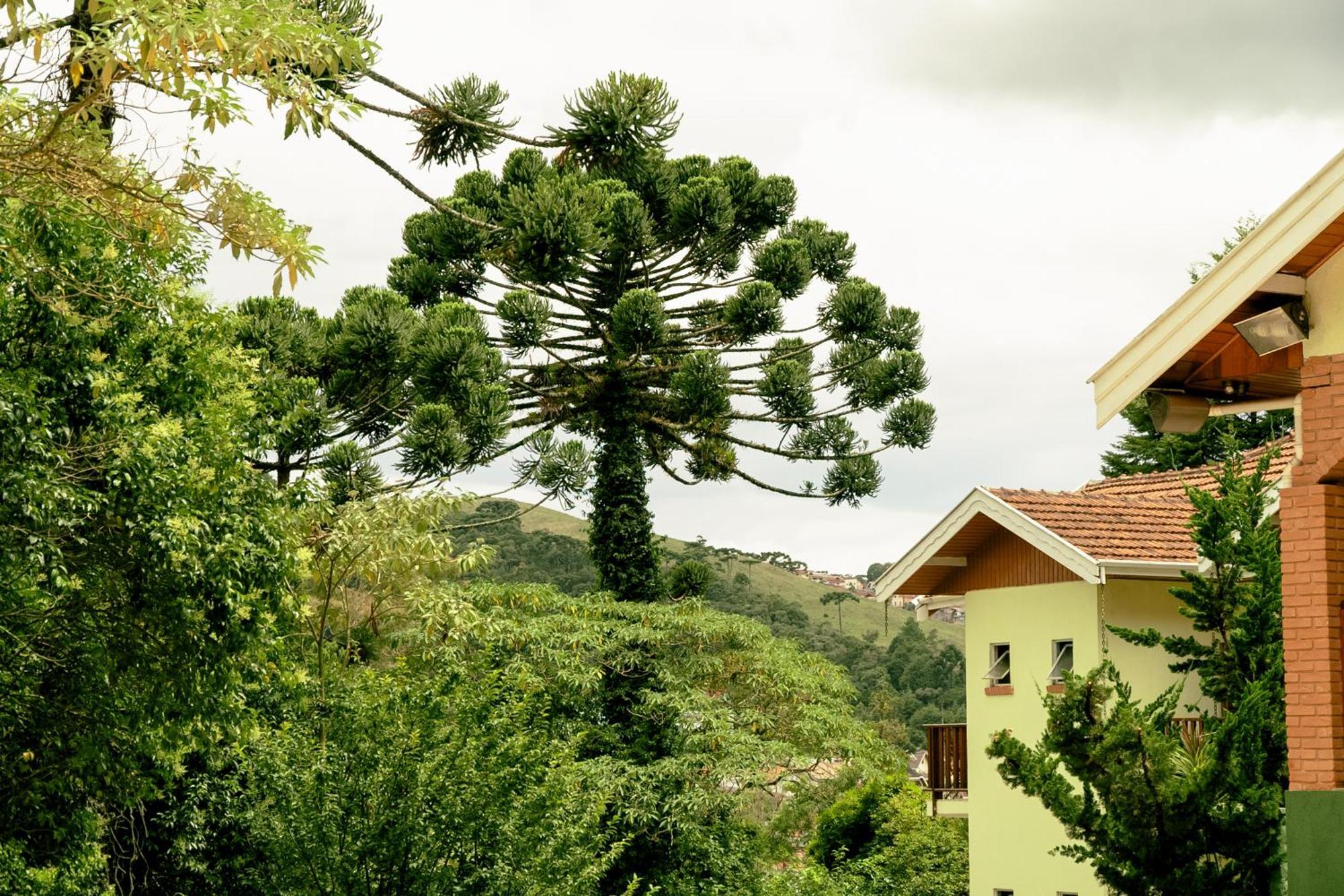 Velinn Pousada Vila Floratta Campos do Jordao Bagian luar foto